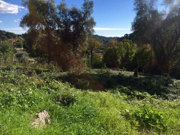 Vence (06140) Rare terrain de plus de 2 hectares Vence Sud
