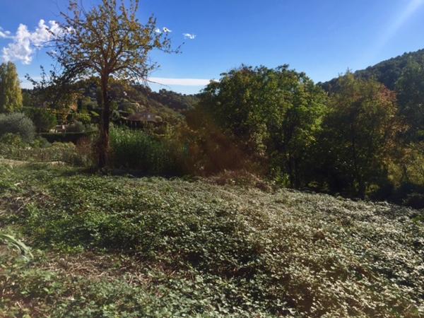 Vence (06140) Rare terrain de plus de 2 hectares Vence Sud
