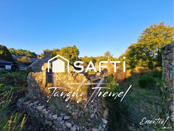 Maison en pierre à rénover