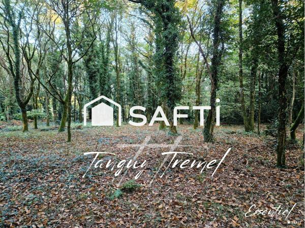 Maison en pierre à rénover