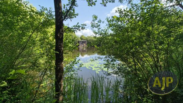 Vente terrain Montaigu : 40 000 € - AJP Immobilier Montaigu