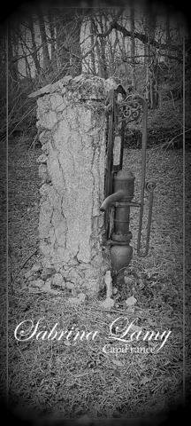 Terrain à vendre ORBAIS L'ABBAYE (51) 1676m²