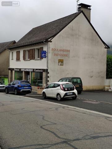 Local mixte (Pro/Hab) à vendre à Thiézac dans le Cantal (15800), ref : MG/1653