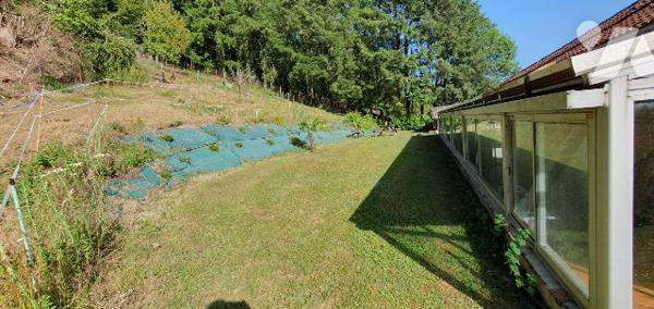 Maison avec jardin et dépendance - Bagnac Sur Cele