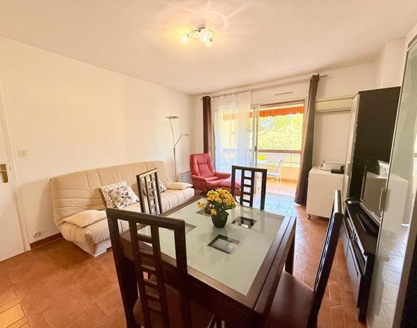 Appartement T2 avec grande terrasse et cave - Très bon état