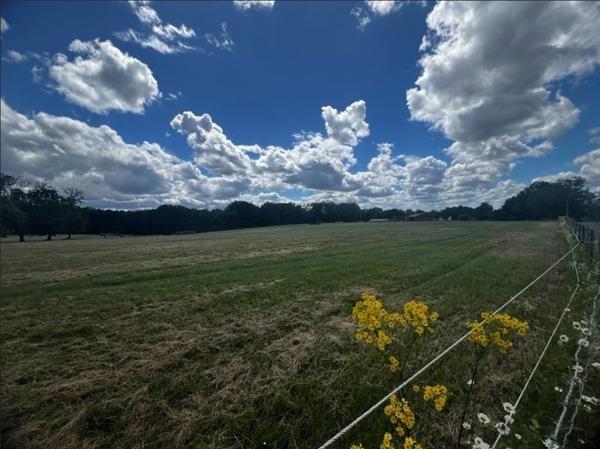 Terrain à vendre 35 400 € Cause-de-Clérans 10302 m² DPE