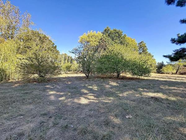 PLOEMEUR : Maison Lomener proche plage avec parc arboré