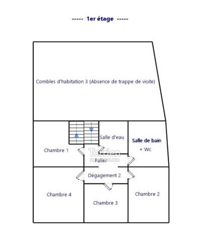 Maison de centre bourg avec jardin Chalonnes-sur-Loire (49290)
