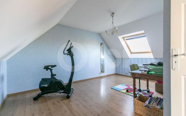 Maison à vendre    9 pièces •  La Queue-en-Brie