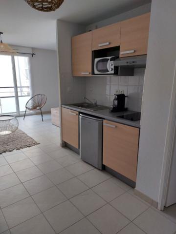 Appartement T1 bis meublé,Saint Sebastien Sur Loire 1 pièce(s) 35.50 m2