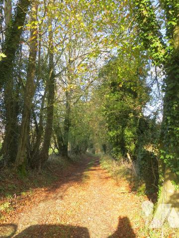 Aux portes de VIRE NORMANDIE, UNE PROPRIETE 