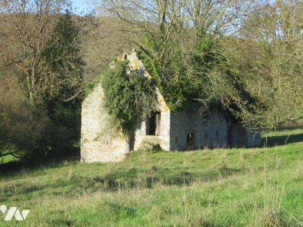 Aux portes de VIRE NORMANDIE, UNE PROPRIETE 