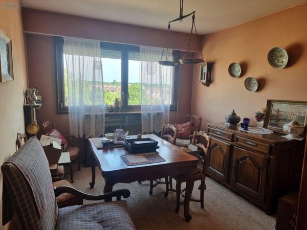 Appartement à vendre à Romorantin-Lanthenay dans le Loir-et-Cher (41200), ref : 41036/3053   
centre-ville