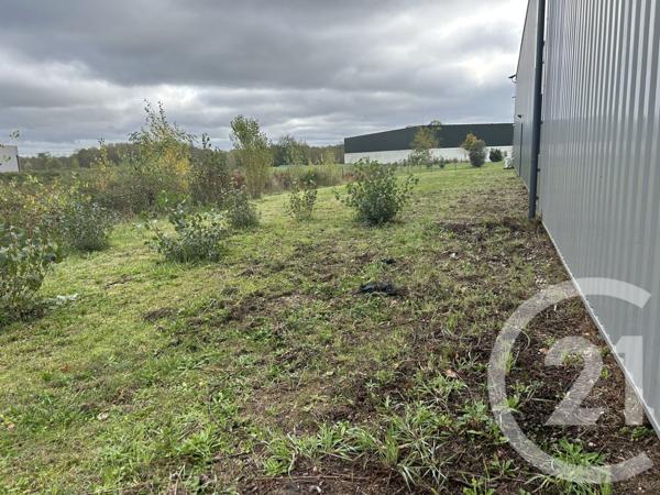 Terrain à vendre  920 m2 LANGON - 33