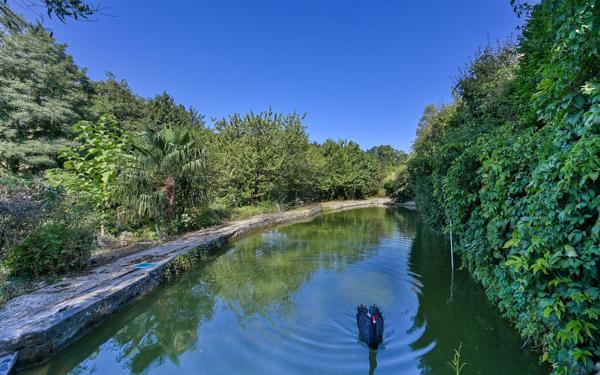 Limonest, Demeure bourgeoise du XIXème siècle de 349 m² dans son écrin de verdure
