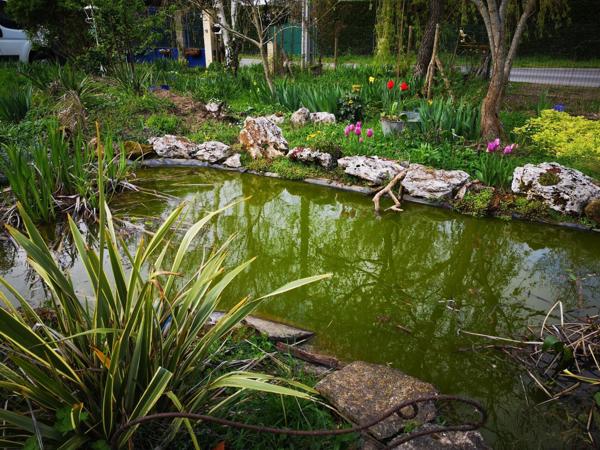 Charmante maison 5 chambres