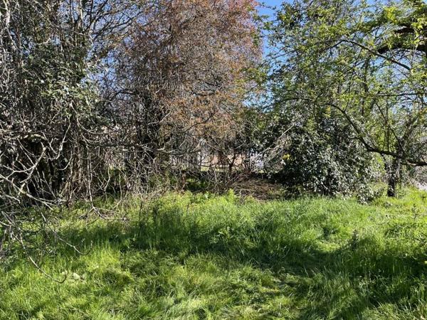Terrain à vendre |  Toulouse |  415 m²