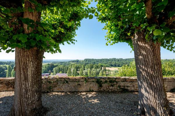 Vente Château Bordeaux 30 Pièces 800 m²