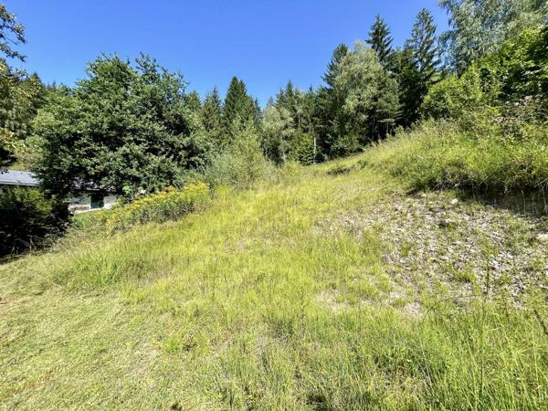 Terrain de 1541 m² dont 800 m² constructibles