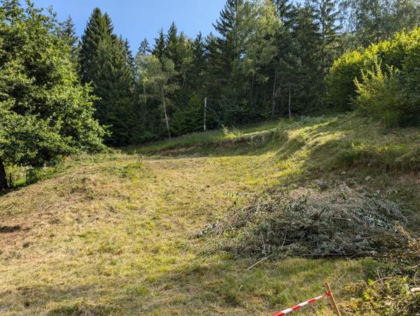 Terrain de 1541 m² dont 800 m² constructibles