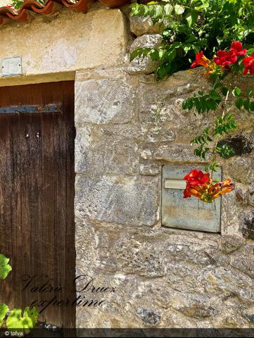 Brouage (17320) Maison en Pierre avec chai et garage