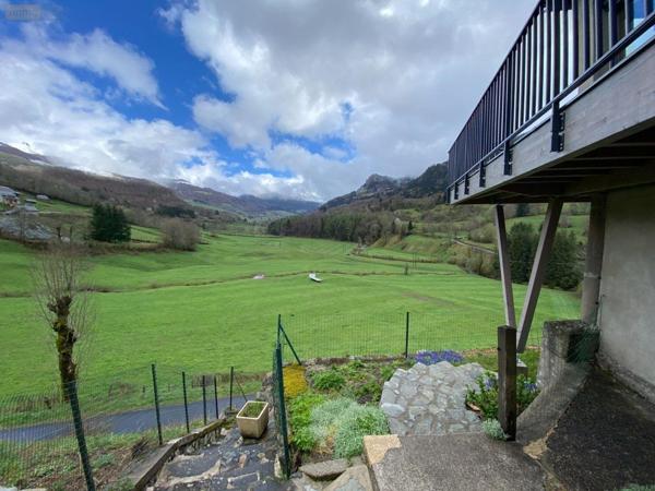 Murs commerciaux à vendre à Le Falgoux dans le Cantal (15380), ref : 15060/1136