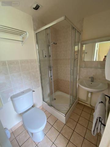 Murs commerciaux à vendre à Le Falgoux dans le Cantal (15380), ref : 15060/1136