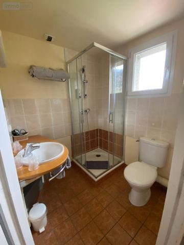 Murs commerciaux à vendre à Le Falgoux dans le Cantal (15380), ref : 15060/1136