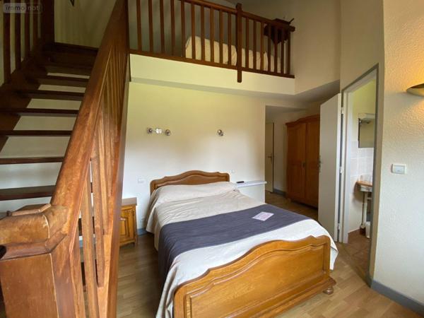 Murs commerciaux à vendre à Le Falgoux dans le Cantal (15380), ref : 15060/1136