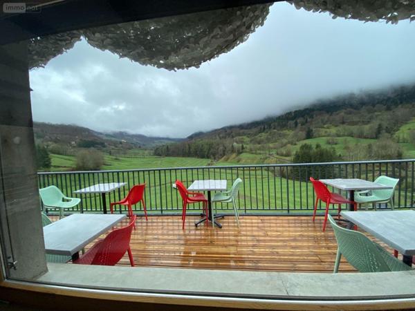 Murs commerciaux à vendre à Le Falgoux dans le Cantal (15380), ref : 15060/1136