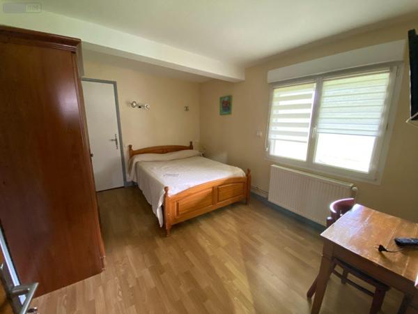 Murs commerciaux à vendre à Le Falgoux dans le Cantal (15380), ref : 15060/1136