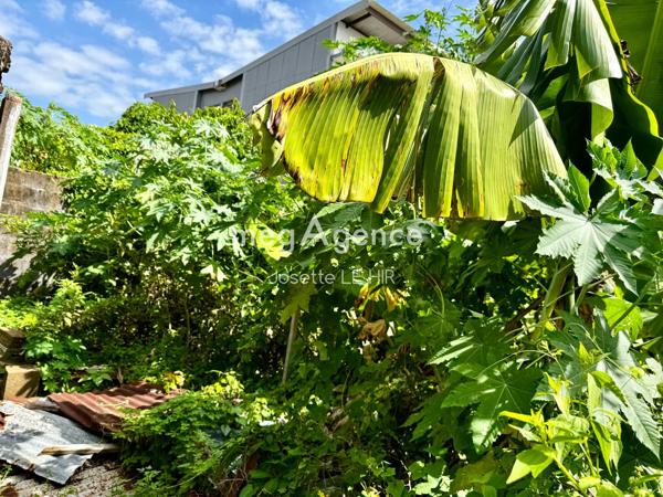 Terrain à CAYENNE, 97300 - 223m²