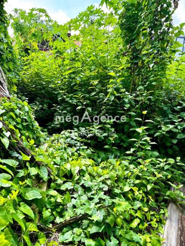 Terrain à CAYENNE, 97300 - 223m²