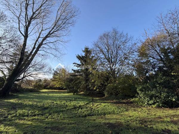 ENSEMBLE IMMOBILIER - MESCHERS