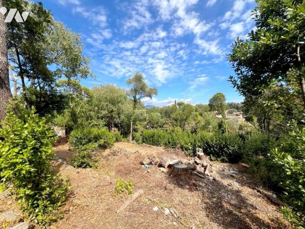 GRASSE - Propriété avec 2 maisons à rénover et annexes sur terrain constructible de 4.870m².