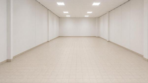 Local commercial 345 m²