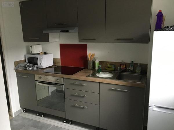 Appartement à louer à Angers dans le Maine-et-Loire (49100), ref : 49009-L46