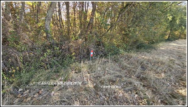 EXCLUSIVITÉ – TERRAIN AVEC BOIS DE 5076 M²- VIABILISÉ - À BIRAN – BELLE EXPOSITION SUD