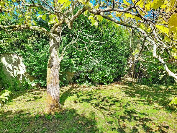 Maison 7 pièces à vendre à Nantes - Idéale famille nombreuse ou investisseur !