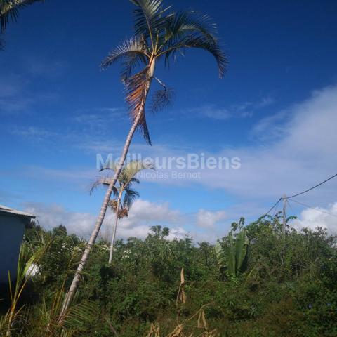 maison de 80 m 2 sur parcelle de 1450 m 2