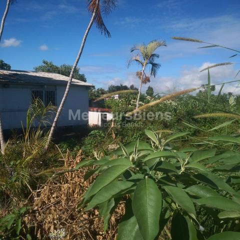 maison de 80 m 2 sur parcelle de 1450 m 2