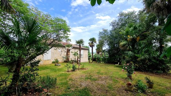 À vendre : Propriété à restaurer, à 10 mn d'Auvillar, d'environ 240 m2 habitables, sur terrain de 7400 m2  (82)