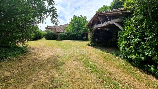 À vendre : Propriété à restaurer, à 10 mn d'Auvillar, d'environ 240 m2 habitables, sur terrain de 7400 m2  (82)