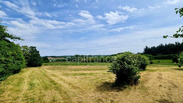 À vendre : Propriété à restaurer, à 10 mn d'Auvillar, d'environ 240 m2 habitables, sur terrain de 7400 m2  (82)