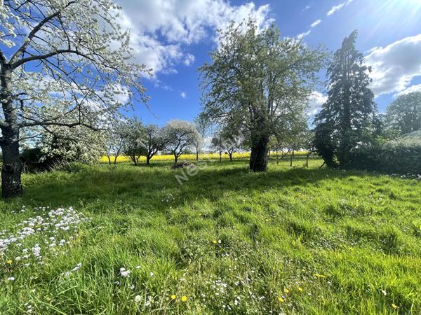 LONGERE, 3 CHAMBRES, ENVIRONNEMENT CALME, PROCHE VALENCAY, A VICQ SUR NAHON (INDRE 36)