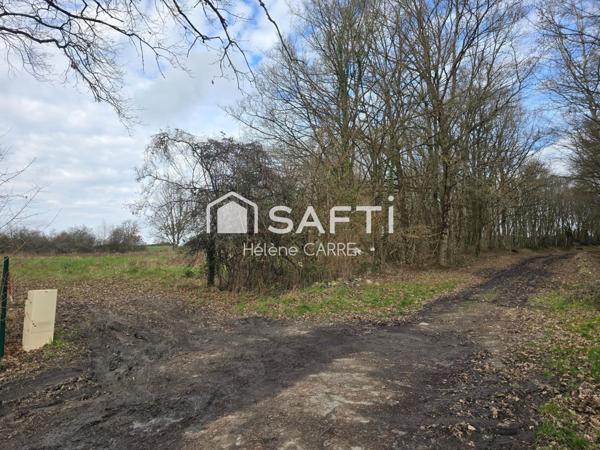 Terrain constructible de 2000m² viabilisé