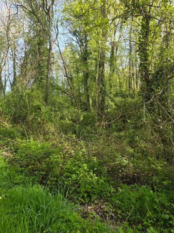 Terrain à vendre non constructible de 2 500,00 m² LE CHAMP SAINT PERE (85) le piquet