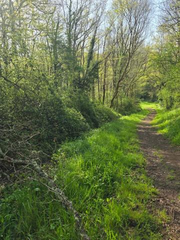 Terrain à vendre non constructible de 2 500,00 m² LE CHAMP SAINT PERE (85) le piquet