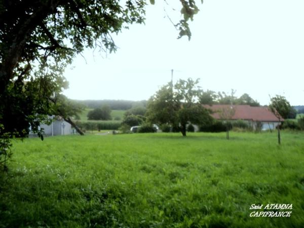 Dpt Vosges (88), à vendre à Domèvre sur Durbion, à 6km de THAON LES VOSGES, terrain constructible de 850m².
