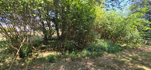 Combrit, joli terrain à bâtir de 1 000 m², bourg à pied, plage à vélo !
